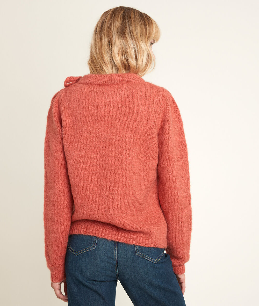 Pull col fantaisie rodger goyave.