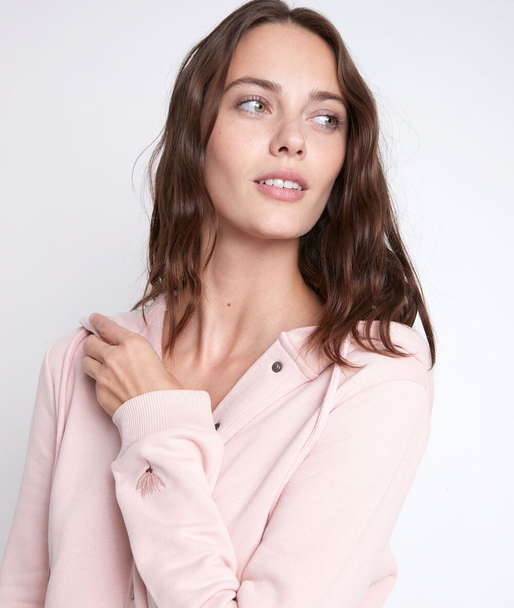 Sweat rose dame rose.