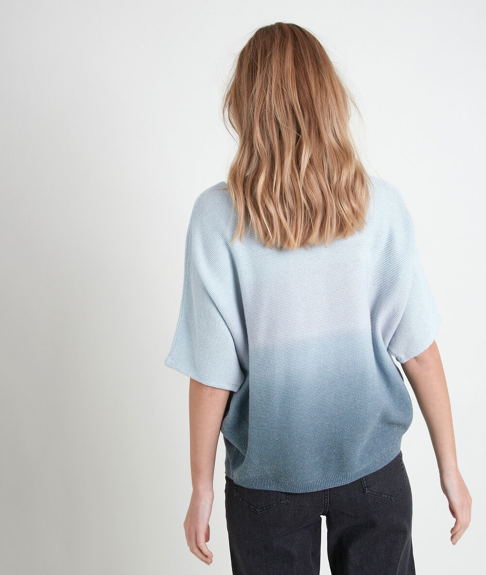 Pull fin bleu dégradé ashley bleu.
