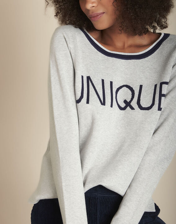 Pull à message gris chiné Family | 1-2-3 Pull à message gris chiné Family PhotoZ | 1-2-3
