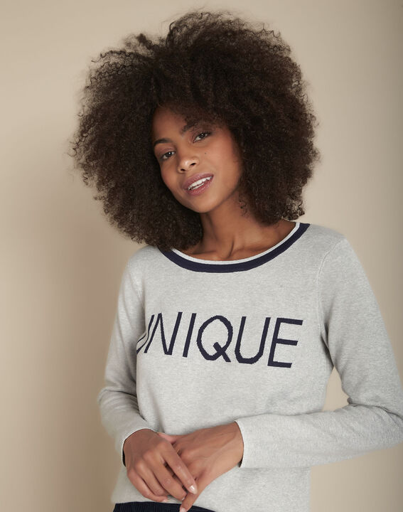 Pull à message gris chiné Family | 1-2-3 Pull à message gris chiné Family PhotoZ | 1-2-3