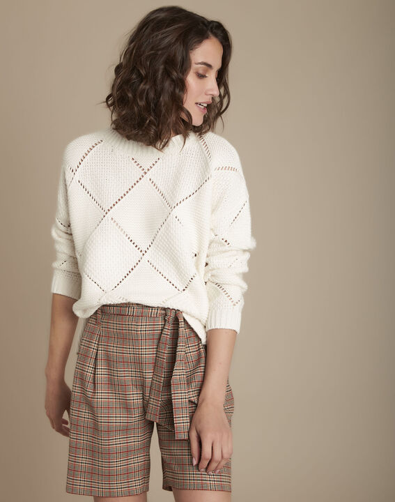 Pull maille ajourée Fashion | 1-2-3 Pull maille ajourée Fashion PhotoZ | 1-2-3