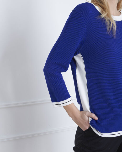 Pull bleu graphique avocado bleuet.