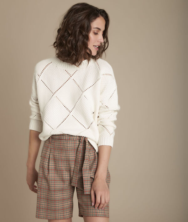 Pull maille ajourée Fashion | 1-2-3 Pull maille ajourée Fashion PhotoZ | 1-2-3