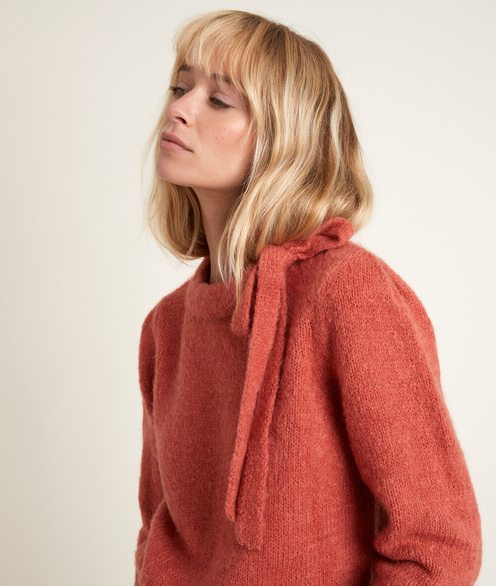 Pull col fantaisie rodger goyave.