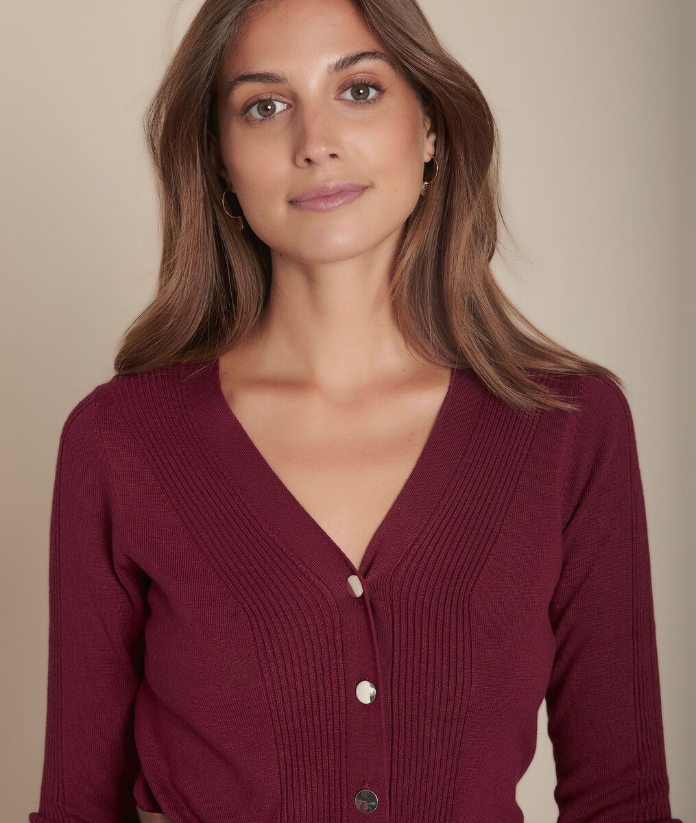 Pull merlot en jersey et côte Fabienne | 1-2-3 Pull merlot en jersey et côte Fabienne PhotoZ | 1-2-3