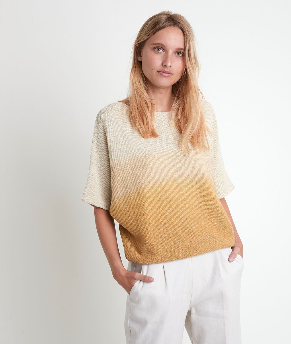 Pull fin bleu dégradé Ashley | 1-2-3 Pull fin bleu dégradé Ashley PhotoZ | 1-2-3
