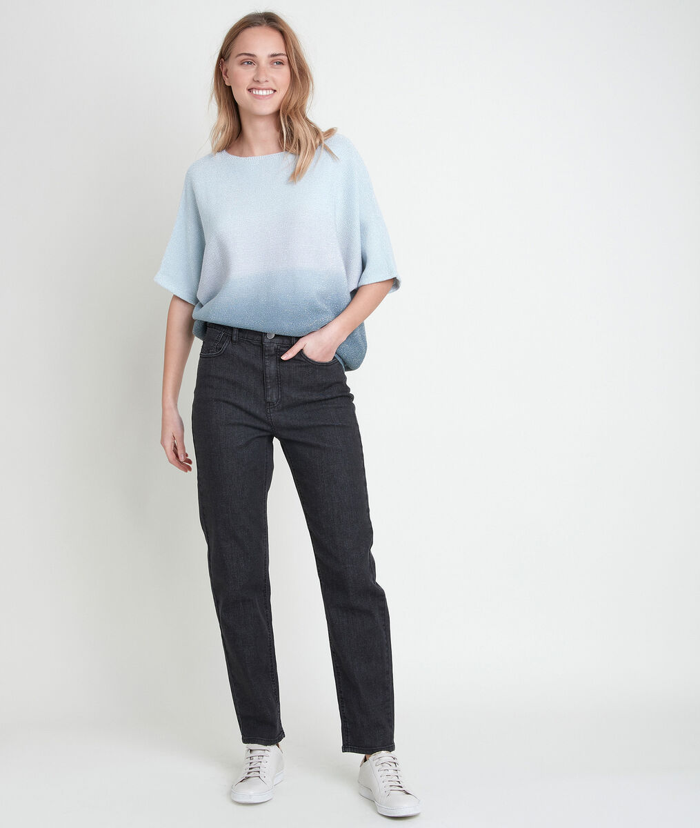 Pull fin bleu dégradé Ashley | 1-2-3 Pull fin bleu dégradé Ashley PhotoZ | 1-2-3