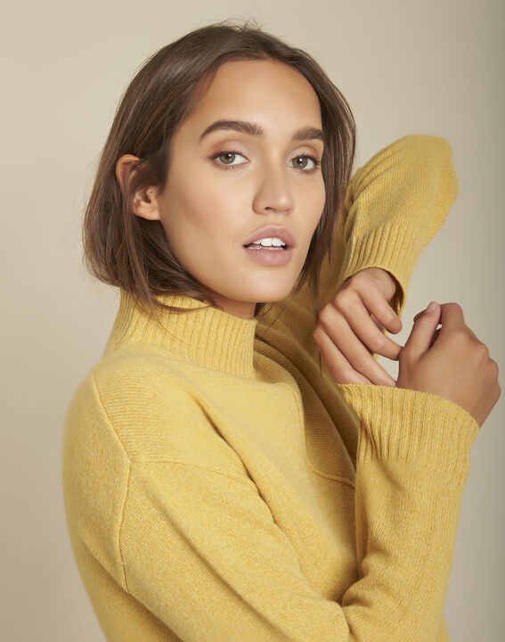 Pull col montant ambre Fabago | 1-2-3 Pull col montant ambre Fabago PhotoZ | 1-2-3
