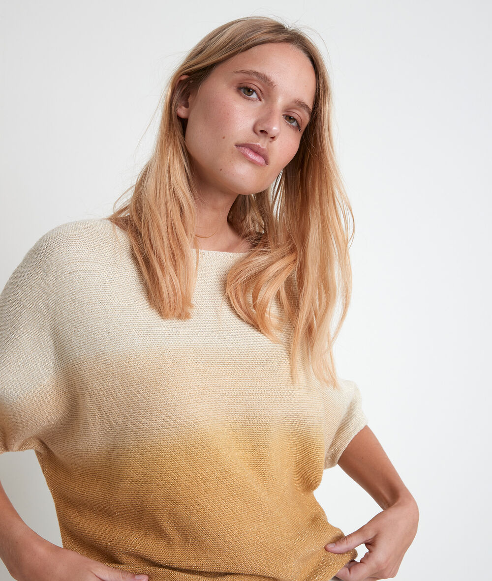 Pull fin bleu dégradé ashley miel.