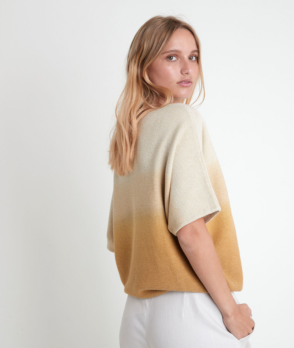 Pull fin bleu dégradé ashley miel.